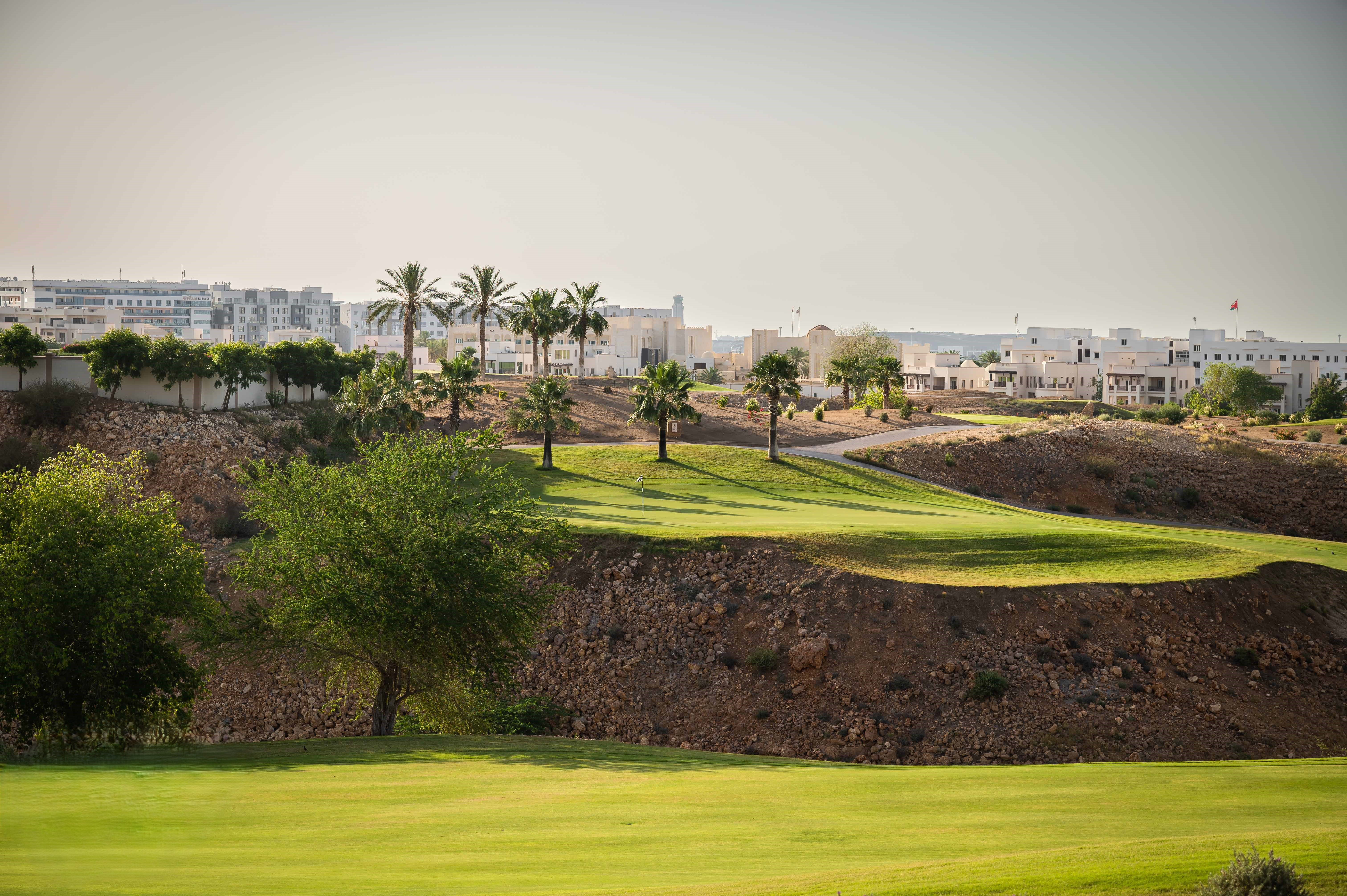 Image of golf ball on tee on grass.